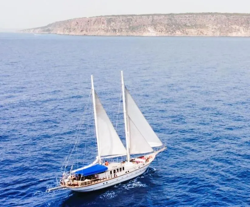 Adara Yacht - Big Turkish Gulet Barcelona Hotel 0*,